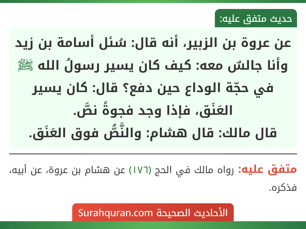 عن عروة بن الزبير، أنه قال: سُئل أسامة بن زيد وأنا جالسٌ معه: كيف كان يسير رسولُ الله ﷺ في حجّة الوداع حين دفع؟ قال: كان يسير العَنَق، فإذا وجد فجوةً نصَّ.
قال مالك: قال هشام: والنَّصُّ فوق العَنَق.