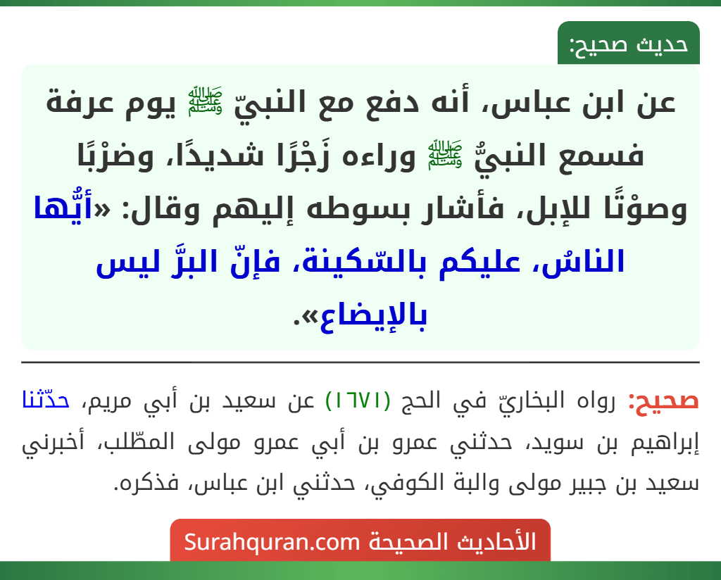 عن ابن عباس، أنه دفع مع النبيّ ﷺ يوم عرفة فسمع النبيُّ ﷺ وراءه زَجْرًا شديدًا، وضرْبًا وصوْتًا للإبل، فأشار بسوطه إليهم وقال: «أيُّها الناسُ، عليكم بالسّكينة، فإنّ البرَّ ليس بالإيضاع». عن ابن عباس، أنه دفع مع النبيّ ﷺ يوم عرفة فسمع النبيُّ ﷺ وراءه زَجْرًا شديدًا، وضرْبًا وصوْتًا للإبل، فأشار بسوطه إليهم وقال: «أيُّها الناسُ، عليكم بالسّكينة، فإنّ البرَّ ليس بالإيضاع».