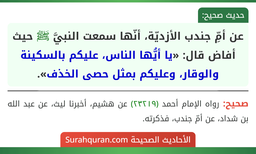 عن أمِّ جندب الأزديّة، أنّها سمعت النبيَّ ﷺ حيث أفاض قال: «يا أيُّها الناس، عليكم بالسكينة والوقار، وعليكم بمثل حصى الخذف».