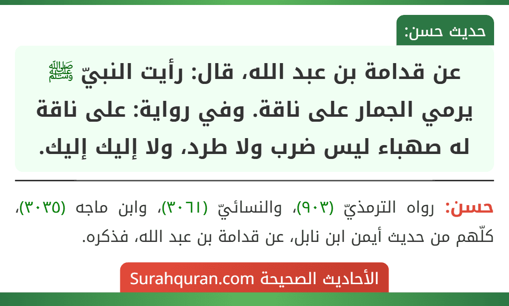 عن قدامة بن عبد الله، قال: رأيت النبيّ ﷺ يرمي الجمار على ناقة. وفي رواية: على ناقة له صهباء ليس ضرب ولا طرد، ولا إليك إليك. عن قدامة بن عبد الله، قال: رأيت النبيّ ﷺ يرمي الجمار على ناقة. وفي رواية: على ناقة له صهباء ليس ضرب ولا طرد، ولا إليك إليك.