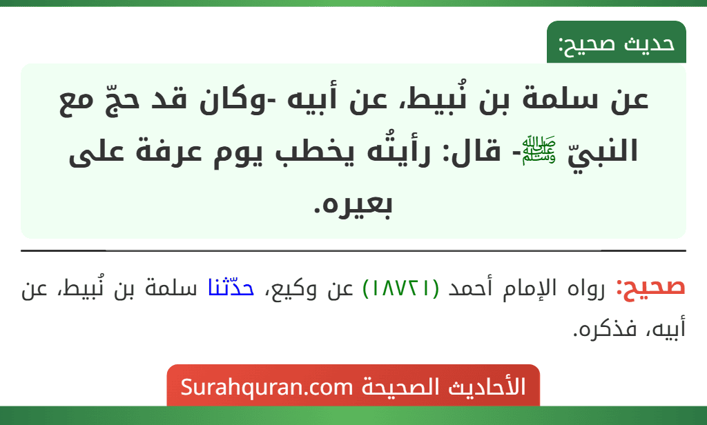 عن سلمة بن نُبيط، عن أبيه -وكان قد حجّ مع النبيّ ﷺ- قال: رأيتُه يخطب يوم عرفة على بعيره.
