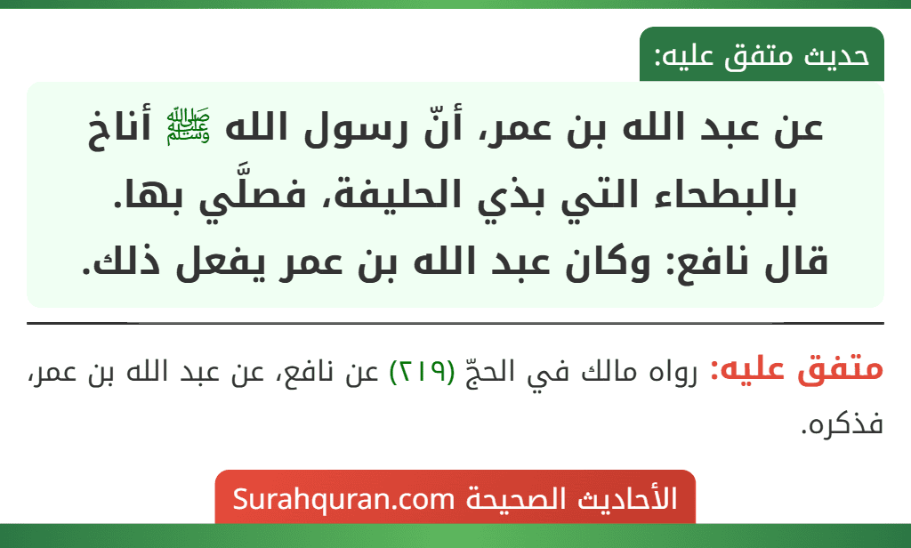 عن عبد الله بن عمر، أنّ رسول الله ﷺ أناخ بالبطحاء التي بذي الحليفة، فصلَّي بها.
قال نافع: وكان عبد الله بن عمر يفعل ذلك.