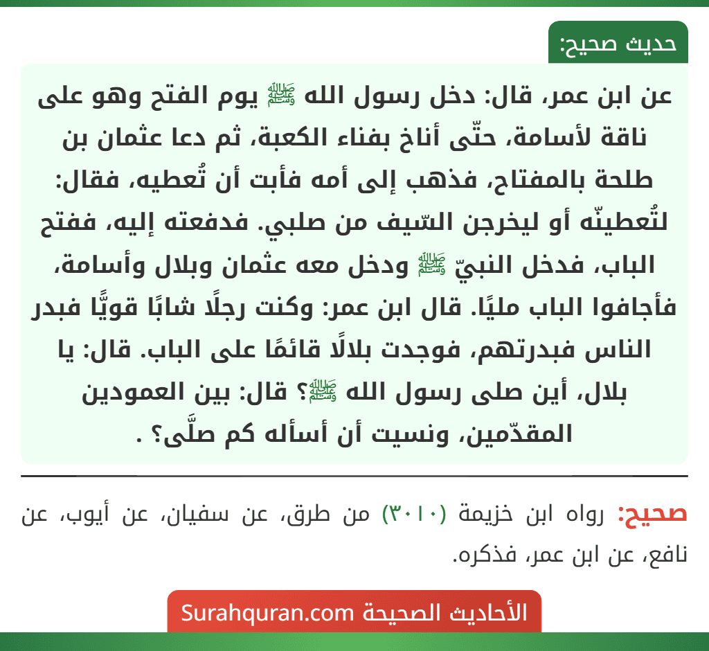 عن ابن عمر، قال: دخل رسول الله ﷺ يوم الفتح وهو على ناقة لأسامة، حتّى أناخ بفناء الكعبة، ثم دعا عثمان بن طلحة بالمفتاح، فذهب إلى أمه فأبت أن تُعطيه، فقال: لتُعطينّه أو ليخرجن السّيف من صلبي. فدفعته إليه، ففتح الباب، فدخل النبيّ ﷺ ودخل معه عثمان وبلال وأسامة، فأجافوا الباب مليًا. قال ابن عمر: وكنت رجلًا شابًا قويًّا فبدر الناس فبدرتهم، فوجدت بلالًا قائمًا على الباب. قال: يا بلال، أين صلى رسول الله ﷺ؟ قال: بين العمودين المقدّمين، ونسيت أن أسأله كم صلَّى؟ .