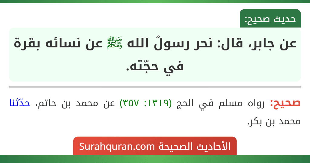 عن جابر، قال: نحر رسولُ الله ﷺ عن نسائه بقرة في حجّته.
