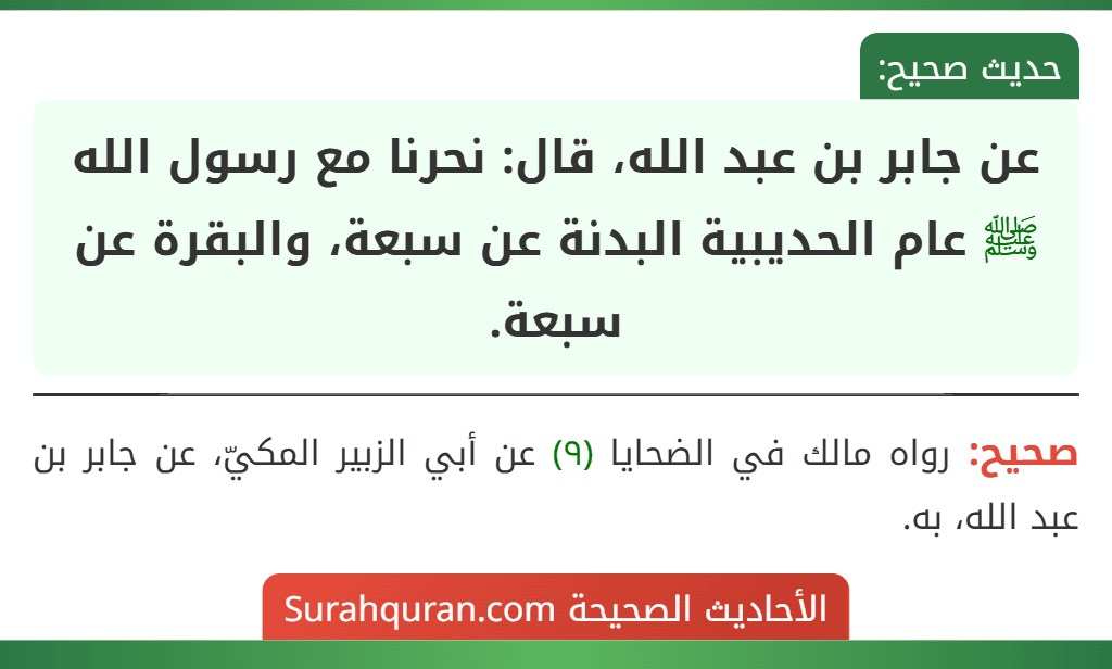 عن جابر بن عبد الله، قال: نحرنا مع رسول الله ﷺ عام الحديبية البدنة عن سبعة، والبقرة عن سبعة.