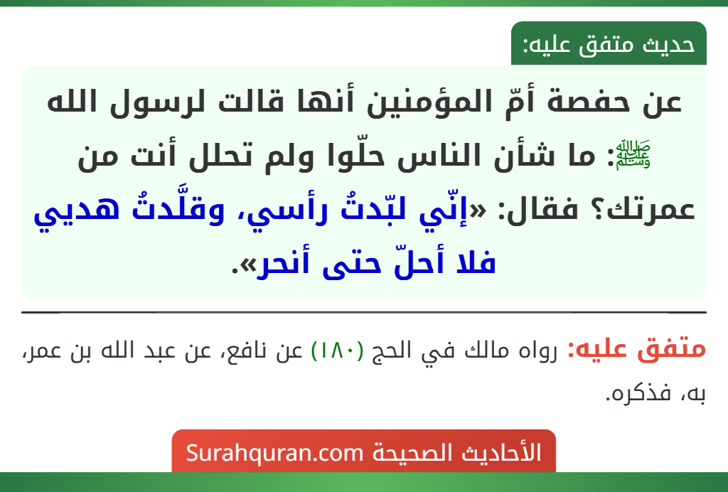 عن حفصة أمّ المؤمنين أنها قالت لرسول الله ﷺ: ما شأن الناس حلّوا ولم تحلل أنت من عمرتك؟ فقال: «إنّي لبّدتُ رأسي، وقلَّدتُ هديي فلا أحلّ حتى أنحر». عن حفصة أمّ المؤمنين أنها قالت لرسول الله ﷺ: ما شأن الناس حلّوا ولم تحلل أنت من عمرتك؟ فقال: «إنّي لبّدتُ رأسي، وقلَّدتُ هديي فلا أحلّ حتى أنحر».