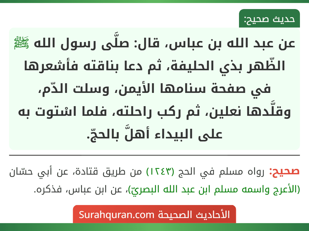 عن عبد الله بن عباس، قال: صلَّى رسول الله ﷺ الظّهر بذي الحليفة، ثم دعا بناقته فأشعرها في صفحة سنامها الأيمن، وسلت الدّم، وقلَّدها نعلين، ثم ركب راحلته، فلما اسْتوت به على البيداء أهلَّ بالحجّ.