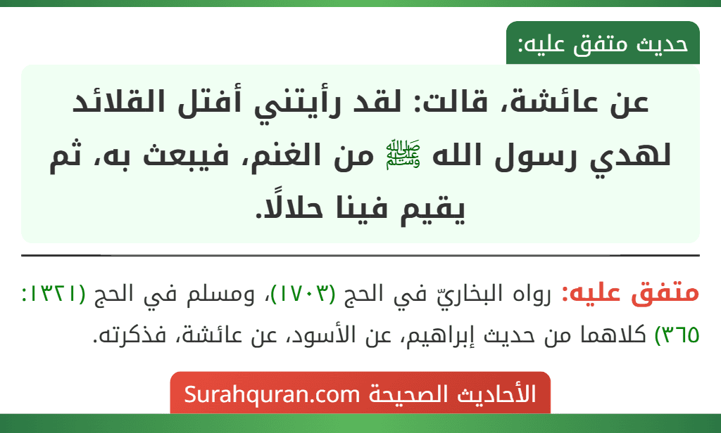 عن عائشة، قالت: لقد رأيتني أفتل القلائد لهدي رسول الله ﷺ من الغنم، فيبعث به، ثم يقيم فينا حلالًا.