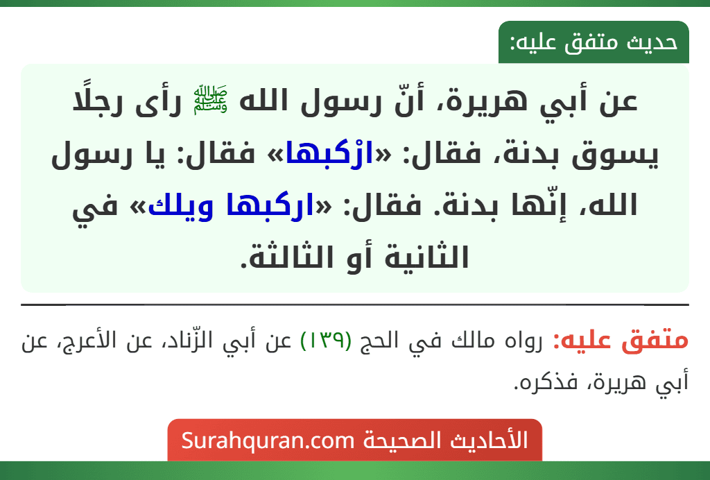 عن أبي هريرة، أنّ رسول الله ﷺ رأى رجلًا يسوق بدنة، فقال: «ارْكبها» فقال: يا رسول الله، إنّها بدنة. فقال: «اركبها ويلك» في الثانية أو الثالثة.