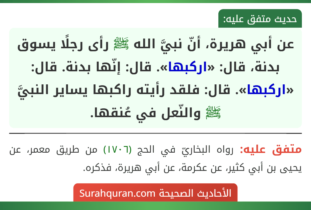 عن أبي هريرة، أنّ نبيَّ الله ﷺ رأى رجلًا يسوق بدنة، قال: «اركبها». قال: إنّها بدنة. قال: «اركبها». قال: فلقد رأيته راكبها يساير النبيَّ ﷺ والنّعل في عُنقها. عن أبي هريرة، أنّ نبيَّ الله ﷺ رأى رجلًا يسوق بدنة، قال: «اركبها». قال: إنّها بدنة. قال: «اركبها». قال: فلقد رأيته راكبها يساير النبيَّ ﷺ والنّعل في عُنقها.
