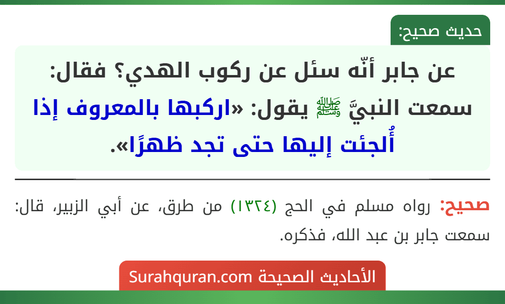 عن جابر أنّه سئل عن ركوب الهدي؟ فقال: سمعت النبيَّ ﷺ يقول: «اركبها بالمعروف إذا أُلجئت إليها حتى تجد ظهرًا».