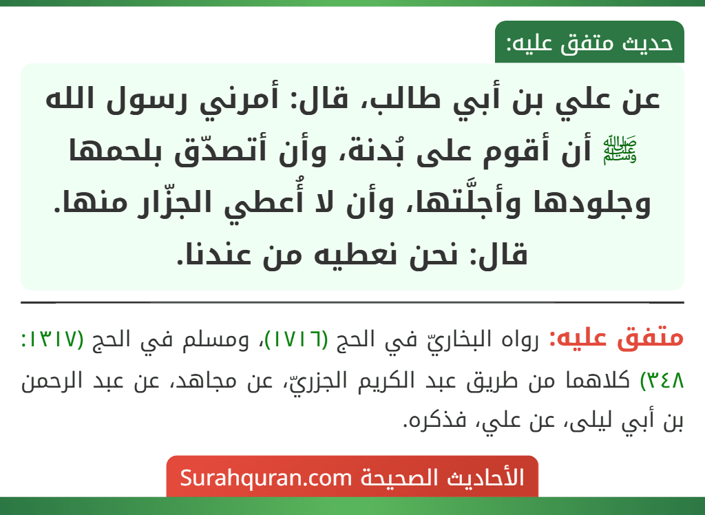 عن علي بن أبي طالب، قال: أمرني رسول الله ﷺ أن أقوم على بُدنة، وأن أتصدّق بلحمها وجلودها وأجلَّتها، وأن لا أُعطي الجزّار منها. قال: نحن نعطيه من عندنا.