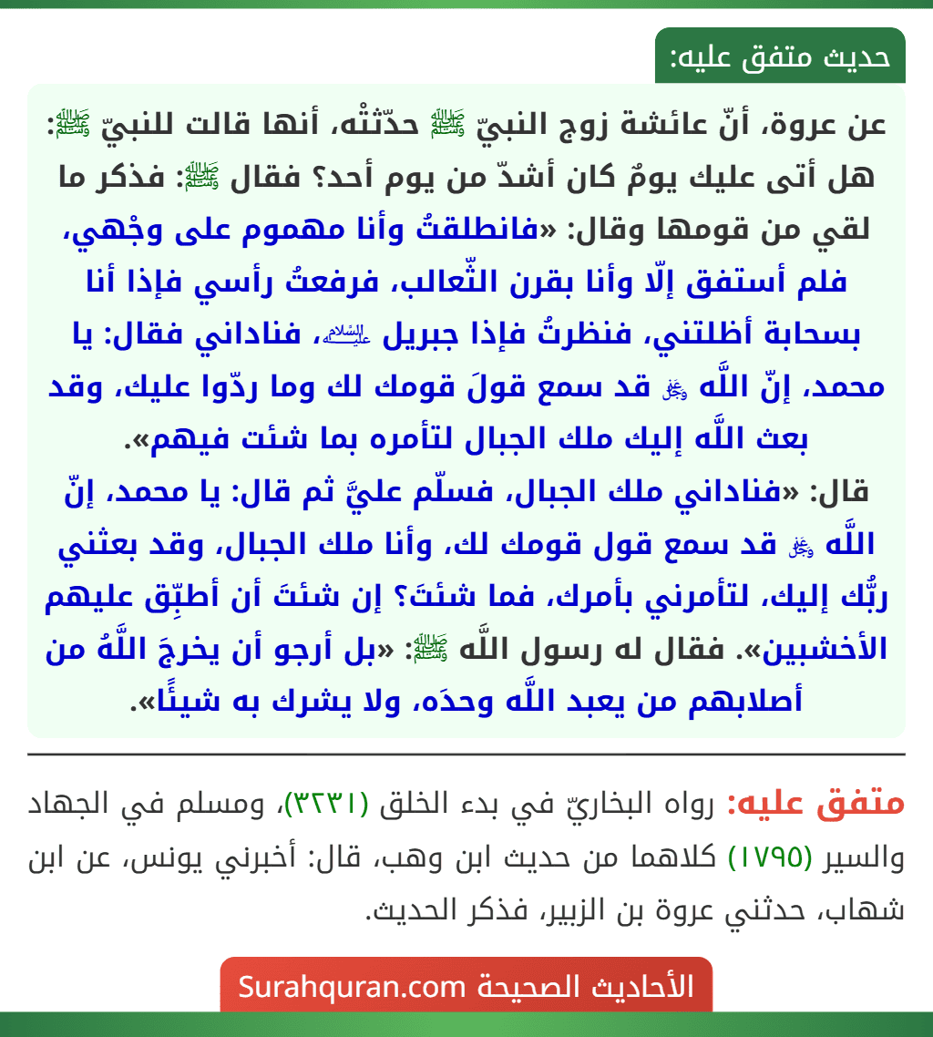 عن عروة، أنّ عائشة زوج النبيّ ﷺ حدّثتْه، أنها قالت للنبيّ ﷺ: هل أتى عليك يومٌ كان أشدّ من يوم أحد؟ فقال ﷺ: فذكر ما لقي من قومها وقال: «فانطلقتُ وأنا مهموم على وجْهي، فلم أستفق إلّا وأنا بقرن الثّعالب، فرفعتُ رأسي فإذا أنا بسحابة أظلتني، فنظرتُ فإذا جبريل ﵇، فناداني فقال: يا محمد، إنّ اللَّه ﷿ قد سمع قولَ قومك لك وما ردّوا عليك، وقد بعث اللَّه إليك ملك الجبال لتأمره بما شئت فيهم».
قال: «فناداني ملك الجبال، فسلّم عليَّ ثم قال: يا محمد، إنّ اللَّه ﷿ قد سمع قول قومك لك، وأنا ملك الجبال، وقد بعثني ربُّك إليك، لتأمرني بأمرك، فما شئتَ؟ إن شئتَ أن أطبِّق عليهم الأخشبين». فقال له رسول اللَّه ﷺ: «بل أرجو أن يخرجَ اللَّهُ من أصلابهم من يعبد اللَّه وحدَه، ولا يشرك به شيئًا».