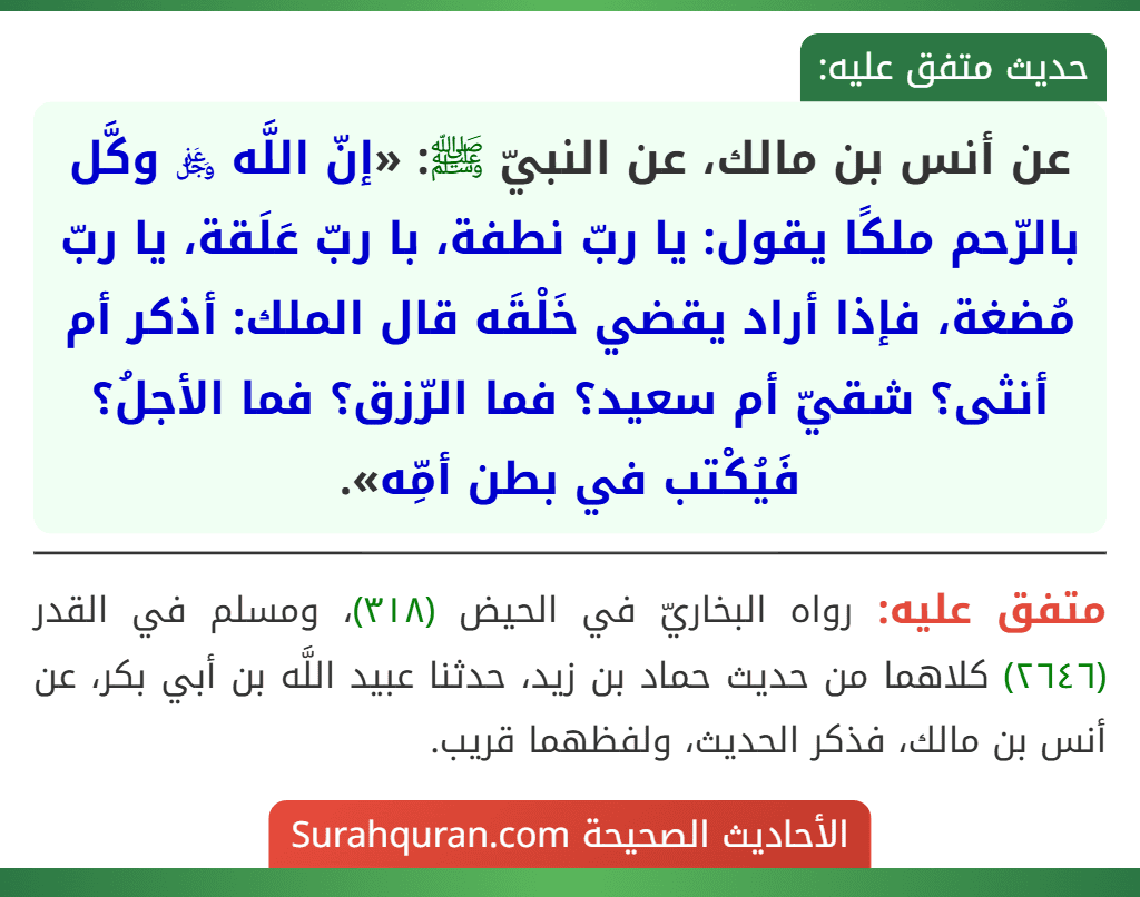 عن أنس بن مالك، عن النبيّ ﷺ: «إنّ اللَّه ﷿ وكَّل بالرّحم ملكًا يقول: يا ربّ نطفة، با ربّ عَلَقة، يا ربّ مُضغة، فإذا أراد يقضي خَلْقَه قال الملك: أذكر أم أنثى؟ شقيّ أم سعيد؟ فما الرّزق؟ فما الأجلُ؟ فَيُكْتب في بطن أمِّه».