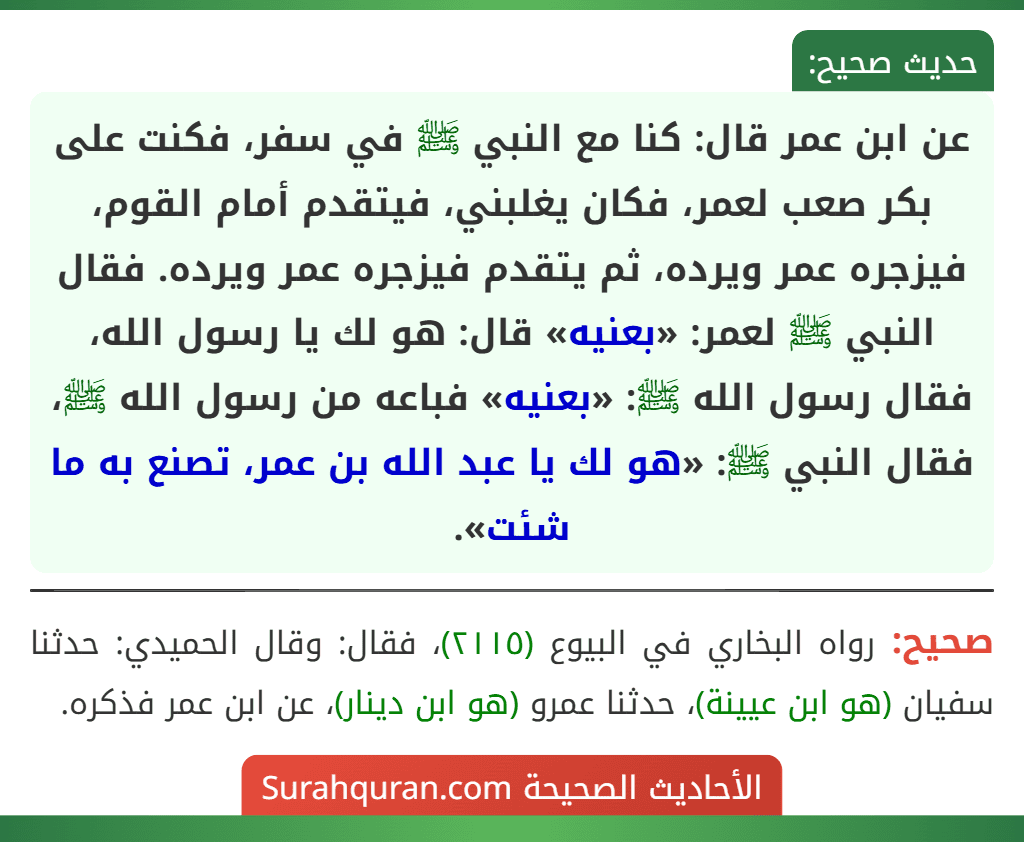 عن ابن عمر قال: كنا مع النبي ﷺ في سفر، فكنت على بكر صعب لعمر، فكان يغلبني، فيتقدم أمام القوم، فيزجره عمر ويرده، ثم يتقدم فيزجره عمر ويرده. فقال النبي ﷺ لعمر: «بعنيه» قال: هو لك يا رسول الله، فقال رسول الله ﷺ: «بعنيه» فباعه من رسول الله ﷺ، فقال النبي ﷺ: «هو لك يا عبد الله بن عمر، تصنع به ما شئت».