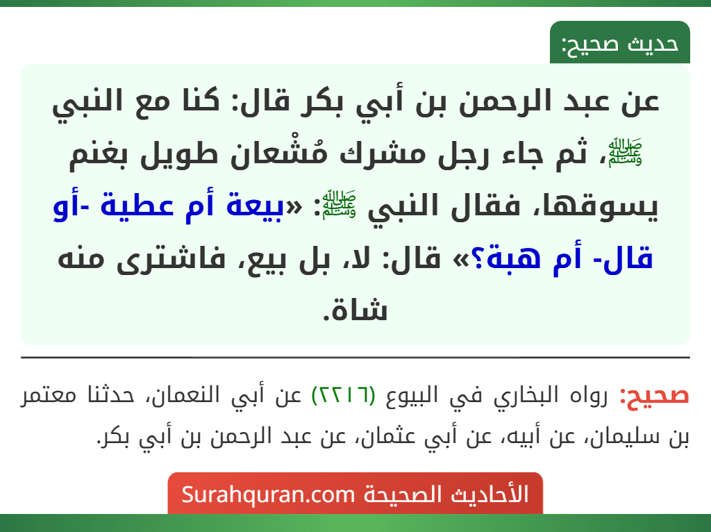 عن عبد الرحمن بن أبي بكر قال: كنا مع النبي ﷺ، ثم جاء رجل مشرك مُشْعان طويل بغنم يسوقها، فقال النبي ﷺ: «بيعة أم عطية -أو قال- أم هبة؟» قال: لا، بل بيع، فاشترى منه شاة.