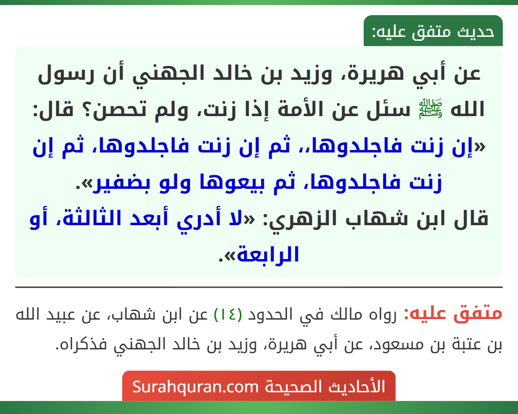 عن أبي هريرة، وزيد بن خالد الجهني أن رسول الله ﷺ سئل عن الأمة إذا زنت، ولم تحصن؟ قال: «إن زنت فاجلدوها،، ثم إن زنت فاجلدوها، ثم إن زنت فاجلدوها، ثم بيعوها ولو بضفير».
قال ابن شهاب الزهري: «لا أدري أبعد الثالثة، أو الرابعة».