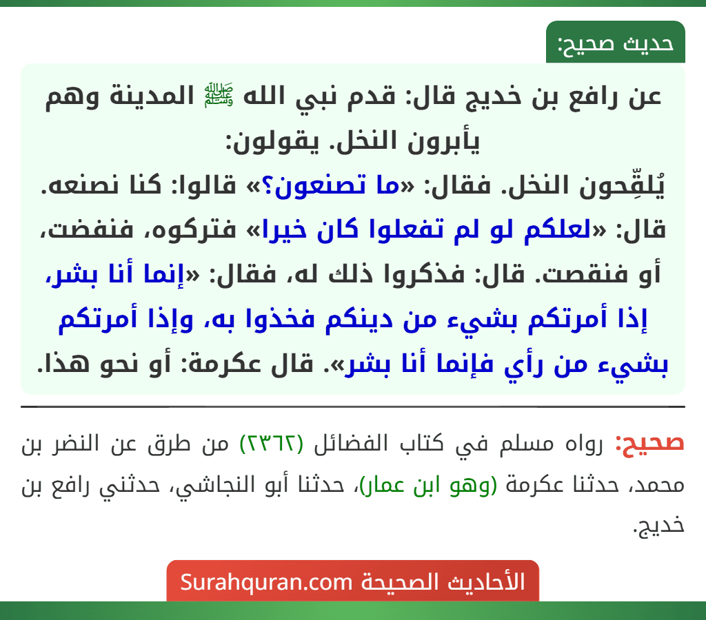 عن رافع بن خديج قال: قدم نبي الله ﷺ المدينة وهم يأبرون النخل. يقولون:
يُلقِّحون النخل. فقال: «ما تصنعون؟» قالوا: كنا نصنعه. قال: «لعلكم لو لم تفعلوا كان خيرا» فتركوه، فنفضت، أو فنقصت. قال: فذكروا ذلك له، فقال: «إنما أنا بشر، إذا أمرتكم بشيء من دينكم فخذوا به، وإذا أمرتكم بشيء من رأي فإنما أنا بشر». قال عكرمة: أو نحو هذا.