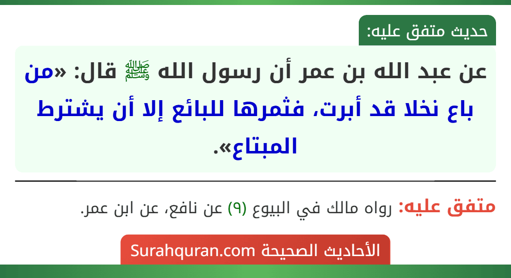 عن عبد الله بن عمر أن رسول الله ﷺ قال: «من باع نخلا قد أبرت، فثمرها للبائع إلا أن يشترط المبتاع».
