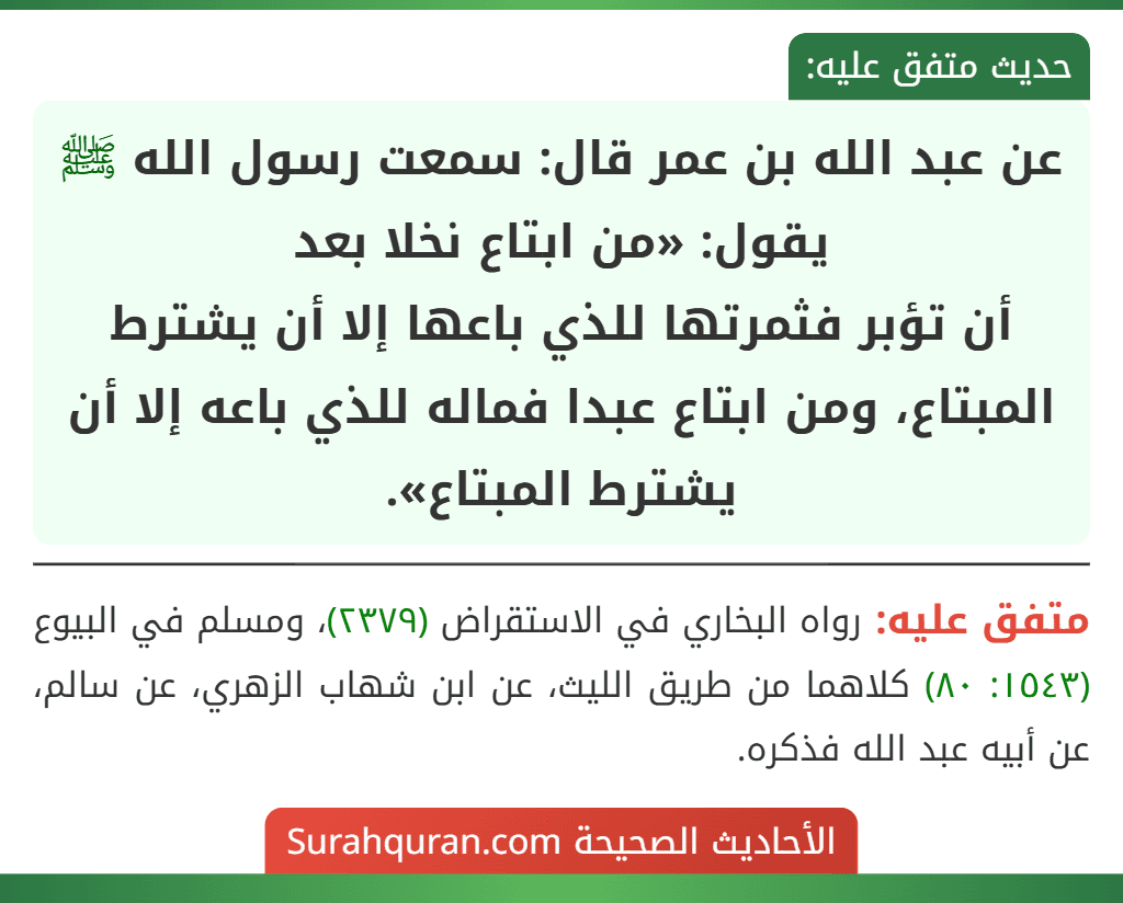عن عبد الله بن عمر قال: سمعت رسول الله ﷺ يقول: «من ابتاع نخلا بعد
أن تؤبر فثمرتها للذي باعها إلا أن يشترط المبتاع، ومن ابتاع عبدا فماله للذي باعه إلا أن يشترط المبتاع».