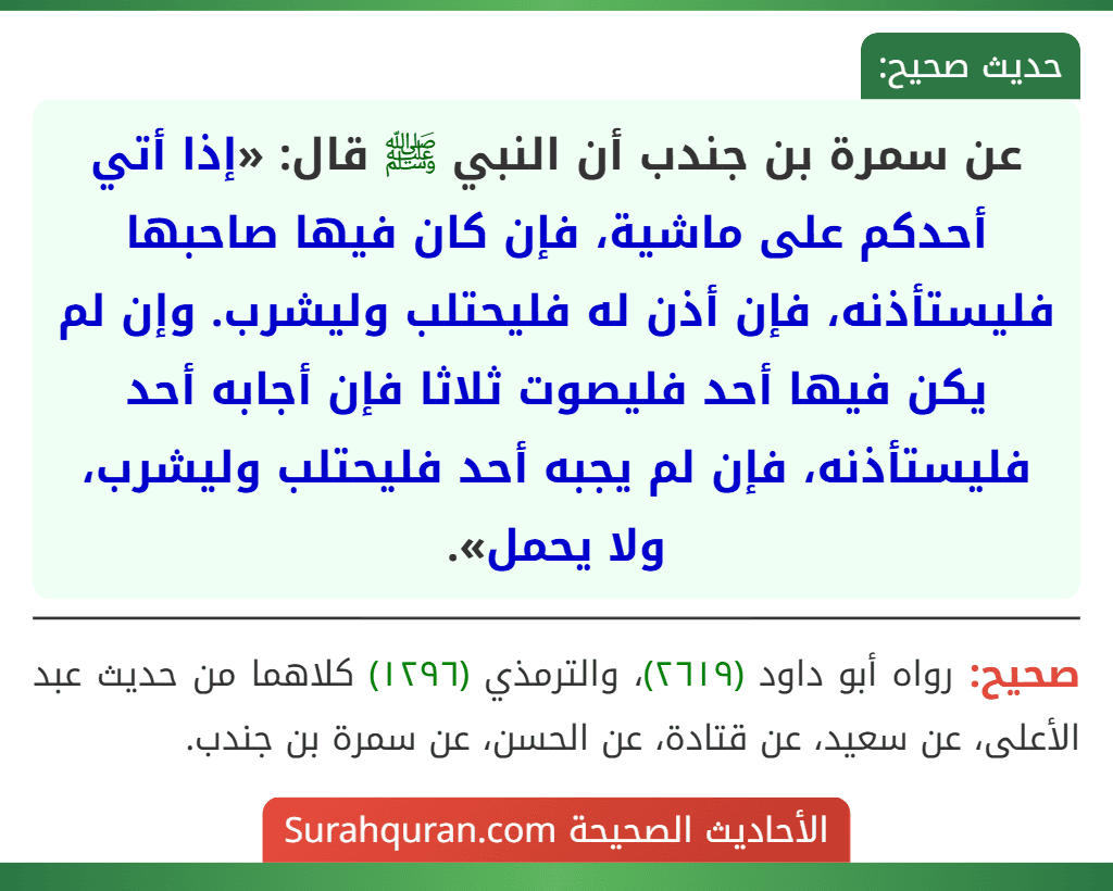 عن سمرة بن جندب أن النبي ﷺ قال: «إذا أتي أحدكم على ماشية، فإن كان فيها صاحبها فليستأذنه، فإن أذن له فليحتلب وليشرب. وإن لم يكن فيها أحد فليصوت ثلاثا فإن أجابه أحد فليستأذنه، فإن لم يجبه أحد فليحتلب وليشرب، ولا يحمل».