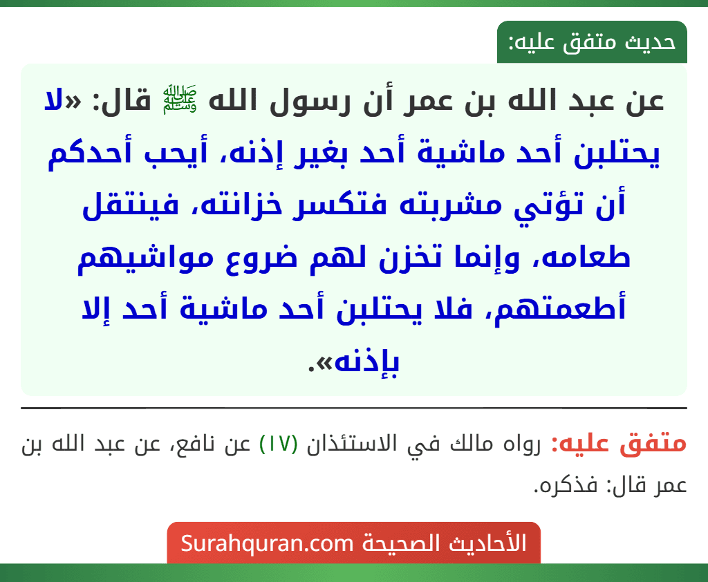 عن عبد الله بن عمر أن رسول الله ﷺ قال: «لا يحتلبن أحد ماشية أحد بغير إذنه، أيحب أحدكم أن تؤتي مشربته فتكسر خزانته، فينتقل طعامه، وإنما تخزن لهم ضروع مواشيهم أطعمتهم، فلا يحتلبن أحد ماشية أحد إلا بإذنه».
