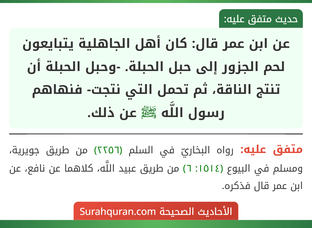عن ابن عمر قال: كان أهل الجاهلية يتبايعون لحم الجزور إلى حبل الحبلة. -وحبل الحبلة أن تنتج الناقة، ثم تحمل التي نتجت- فنهاهم رسول اللَّه ﷺ عن ذلك.