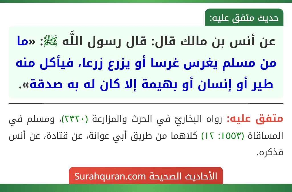عن أنس بن مالك قال: قال رسول اللَّه ﷺ: «ما من مسلم يغرس غرسا أو يزرع زرعا، فيأكل منه طير أو إنسان أو بهيمة إلا كان له به صدقة».