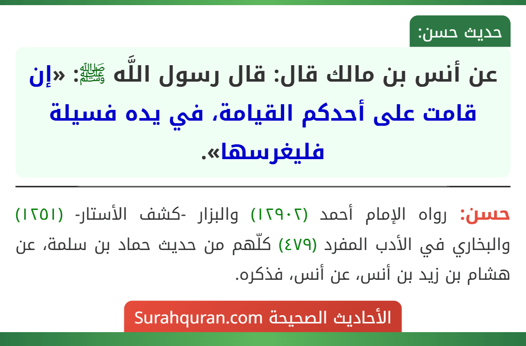 عن أنس بن مالك قال: قال رسول اللَّه ﷺ: «إن قامت على أحدكم القيامة، في يده فسيلة فليغرسها». عن أنس بن مالك قال: قال رسول اللَّه ﷺ: «إن قامت على أحدكم القيامة، في يده فسيلة فليغرسها».