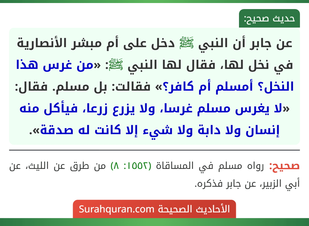 عن جابر أن النبي ﷺ دخل على أم مبشر الأنصارية في نخل لها، فقال لها النبي ﷺ: «من غرس هذا النخل؟ أمسلم أم كافر؟» فقالت: بل مسلم. فقال: «لا يغرس مسلم غرسا، ولا يزرع زرعا، فيأكل منه إنسان ولا دابة ولا شيء إلا كانت له صدقة».