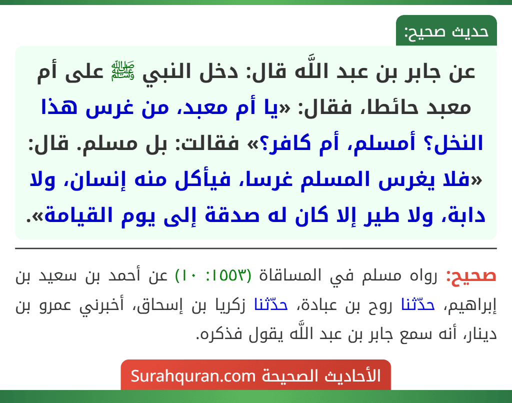 عن جابر بن عبد اللَّه قال: دخل النبي ﷺ على أم معبد حائطا، فقال: «يا أم معبد، من غرس هذا النخل؟ أمسلم، أم كافر؟» فقالت: بل مسلم. قال: «فلا يغرس المسلم غرسا، فيأكل منه إنسان، ولا دابة، ولا طير إلا كان له صدقة إلى يوم القيامة».