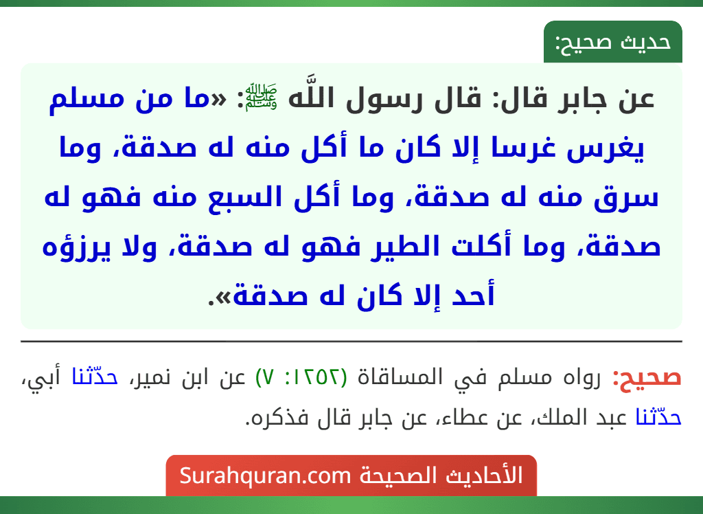 عن جابر قال: قال رسول اللَّه ﷺ: «ما من مسلم يغرس غرسا إلا كان ما أكل منه له صدقة، وما سرق منه له صدقة، وما أكل السبع منه فهو له صدقة، وما أكلت الطير فهو له صدقة، ولا يرزؤه أحد إلا كان له صدقة». عن جابر قال: قال رسول اللَّه ﷺ: «ما من مسلم يغرس غرسا إلا كان ما أكل منه له صدقة، وما سرق منه له صدقة، وما أكل السبع منه فهو له صدقة، وما أكلت الطير فهو له صدقة، ولا يرزؤه أحد إلا كان له صدقة».