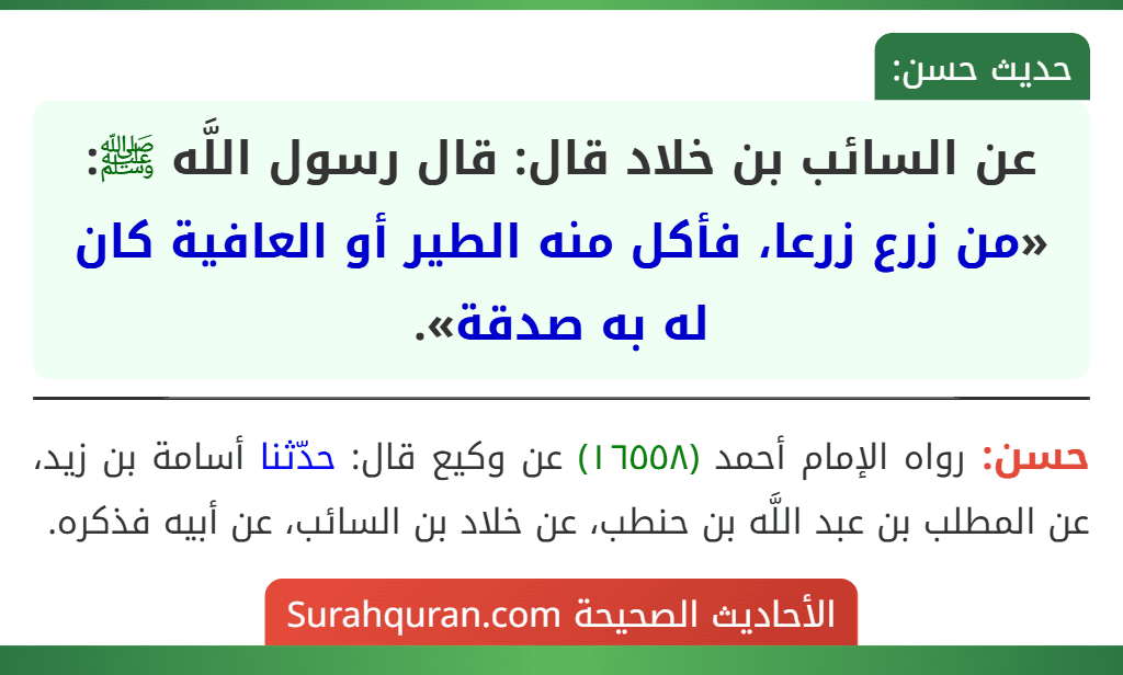 عن السائب بن خلاد قال: قال رسول اللَّه ﷺ: «من زرع زرعا، فأكل منه الطير أو العافية كان له به صدقة». عن السائب بن خلاد قال: قال رسول اللَّه ﷺ: «من زرع زرعا، فأكل منه الطير أو العافية كان له به صدقة».
