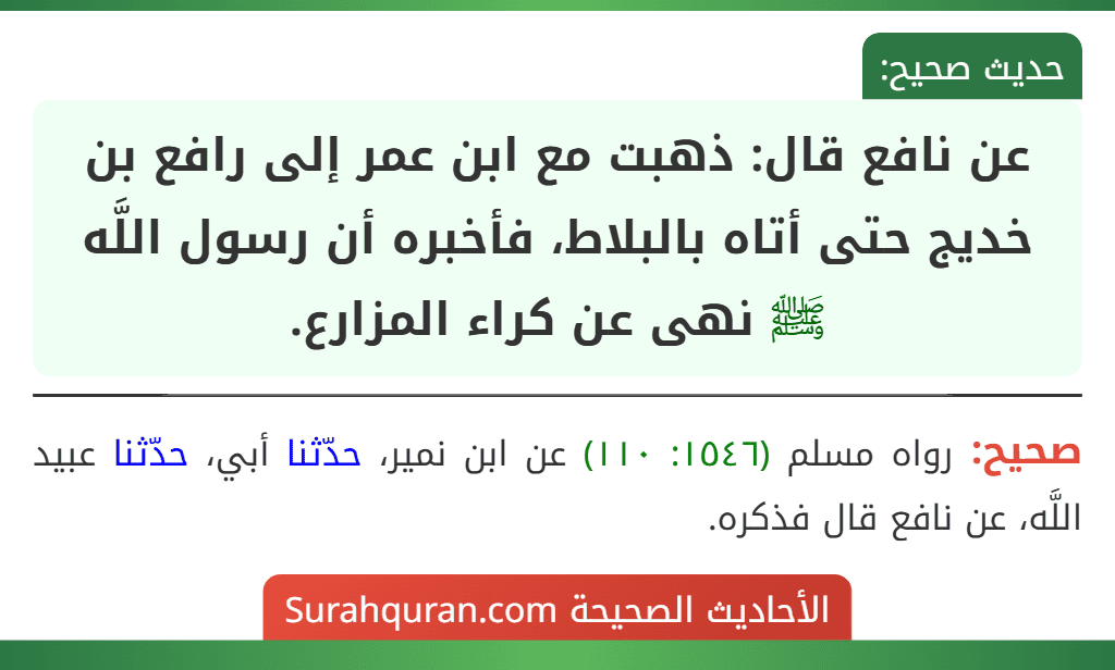 عن نافع قال: ذهبت مع ابن عمر إلى رافع بن خديج حتى أتاه بالبلاط، فأخبره أن رسول اللَّه ﷺ نهى عن كراء المزارع.
