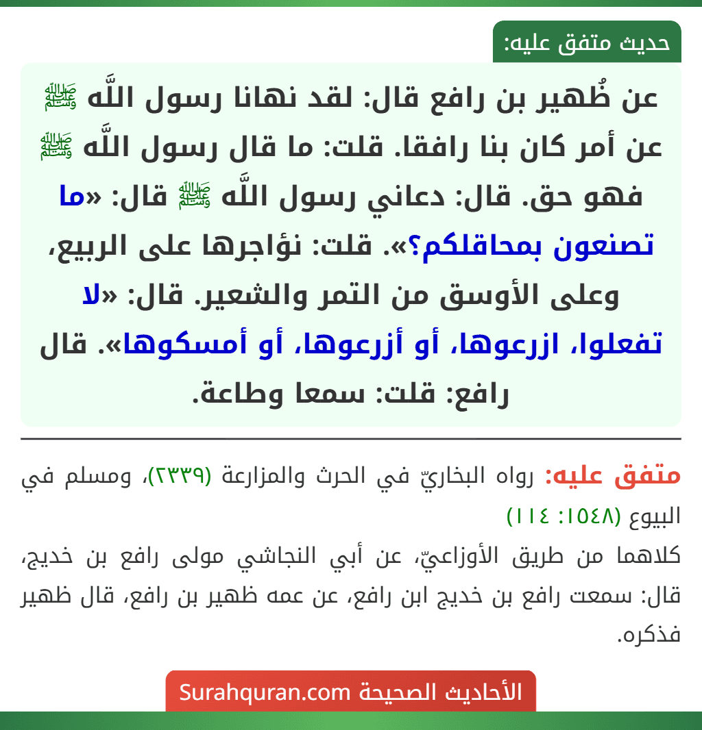 عن ظُهير بن رافع قال: لقد نهانا رسول اللَّه ﷺ عن أمر كان بنا رافقا. قلت: ما قال رسول اللَّه ﷺ فهو حق. قال: دعاني رسول اللَّه ﷺ قال: «ما تصنعون بمحاقلكم؟». قلت: نؤاجرها على الربيع، وعلى الأوسق من التمر والشعير. قال: «لا تفعلوا، ازرعوها، أو أزرعوها، أو أمسكوها». قال رافع: قلت: سمعا وطاعة.