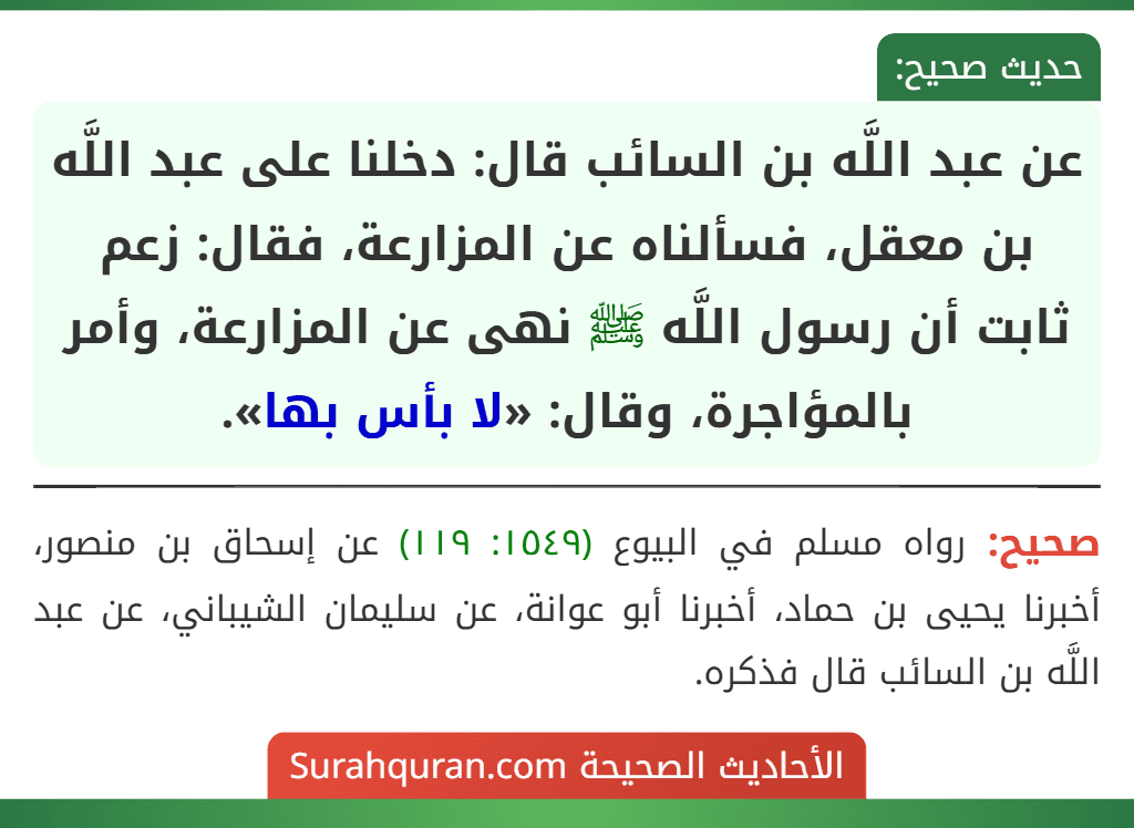 عن عبد اللَّه بن السائب قال: دخلنا على عبد اللَّه بن معقل، فسألناه عن المزارعة، فقال: زعم ثابت أن رسول اللَّه ﷺ نهى عن المزارعة، وأمر بالمؤاجرة، وقال: «لا بأس بها».