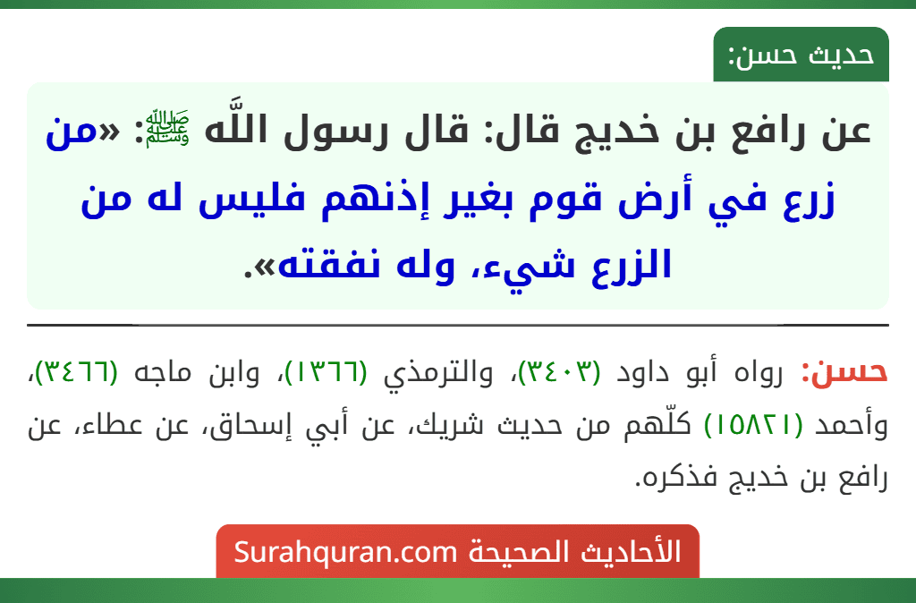 عن رافع بن خديج قال: قال رسول اللَّه ﷺ: «من زرع في أرض قوم بغير إذنهم فليس له من الزرع شيء، وله نفقته».