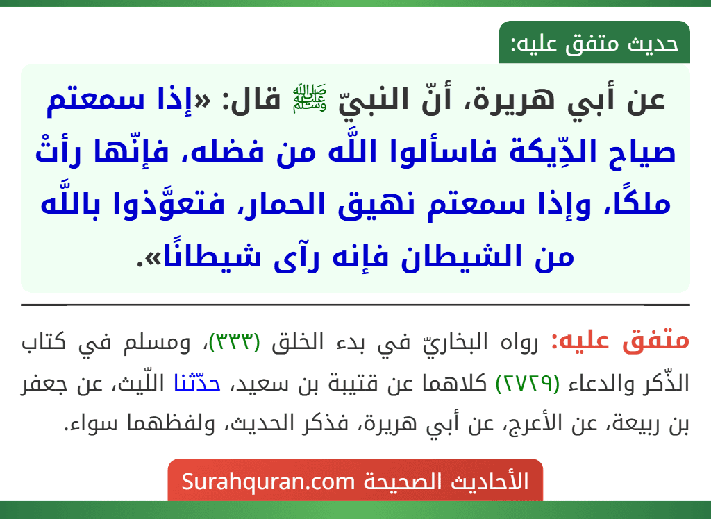 عن أبي هريرة، أنّ النبيّ ﷺ قال: «إذا سمعتم صياح الدِّيكة فاسألوا اللَّه من فضله، فإنّها رأتْ ملكًا، وإذا سمعتم نهيق الحمار، فتعوَّذوا باللَّه من الشيطان فإنه رآى شيطانًا». عن أبي هريرة، أنّ النبيّ ﷺ قال: «إذا سمعتم صياح الدِّيكة فاسألوا اللَّه من فضله، فإنّها رأتْ ملكًا، وإذا سمعتم نهيق الحمار، فتعوَّذوا باللَّه من الشيطان فإنه رآى شيطانًا».