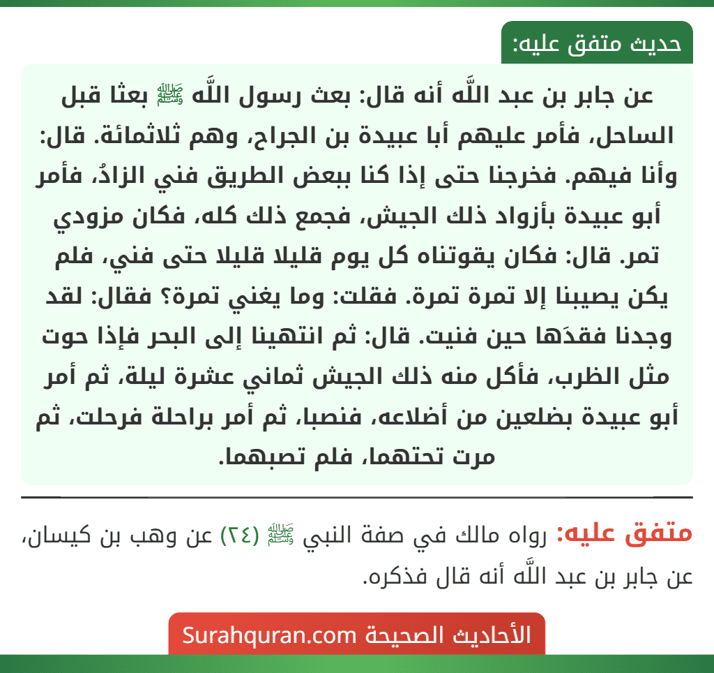 عن جابر بن عبد اللَّه أنه قال: بعث رسول اللَّه ﷺ بعثا قبل الساحل، فأمر عليهم أبا عبيدة بن الجراح، وهم ثلاثمائة. قال: وأنا فيهم. فخرجنا حتى إذا كنا ببعض الطريق فني الزادُ، فأمر أبو عبيدة بأزواد ذلك الجيش، فجمع ذلك كله، فكان مزودي تمر. قال: فكان يقوتناه كل يوم قليلا قليلا حتى فني، فلم يكن يصيبنا إلا تمرة تمرة. فقلت: وما يغني تمرة؟ فقال: لقد وجدنا فقدَها حين فنيت. قال: ثم انتهينا إلى البحر فإذا حوت مثل الظرب، فأكل منه ذلك الجيش ثماني عشرة ليلة، ثم أمر أبو عبيدة بضلعين من أضلاعه، فنصبا، ثم أمر براحلة فرحلت، ثم مرت تحتهما، فلم تصبهما. عن جابر بن عبد اللَّه أنه قال: بعث رسول اللَّه ﷺ بعثا قبل الساحل، فأمر عليهم أبا عبيدة بن الجراح، وهم ثلاثمائة. قال: وأنا فيهم. فخرجنا حتى إذا كنا ببعض الطريق فني الزادُ، فأمر أبو عبيدة بأزواد ذلك الجيش، فجمع ذلك كله، فكان مزودي تمر. قال: فكان يقوتناه كل يوم قليلا قليلا حتى فني، فلم يكن يصيبنا إلا تمرة تمرة. فقلت: وما يغني تمرة؟ فقال: لقد وجدنا فقدَها حين فنيت. قال: ثم انتهينا إلى البحر فإذا حوت مثل الظرب، فأكل منه ذلك الجيش ثماني عشرة ليلة، ثم أمر أبو عبيدة بضلعين من أضلاعه، فنصبا، ثم أمر براحلة فرحلت، ثم مرت تحتهما، فلم تصبهما.
