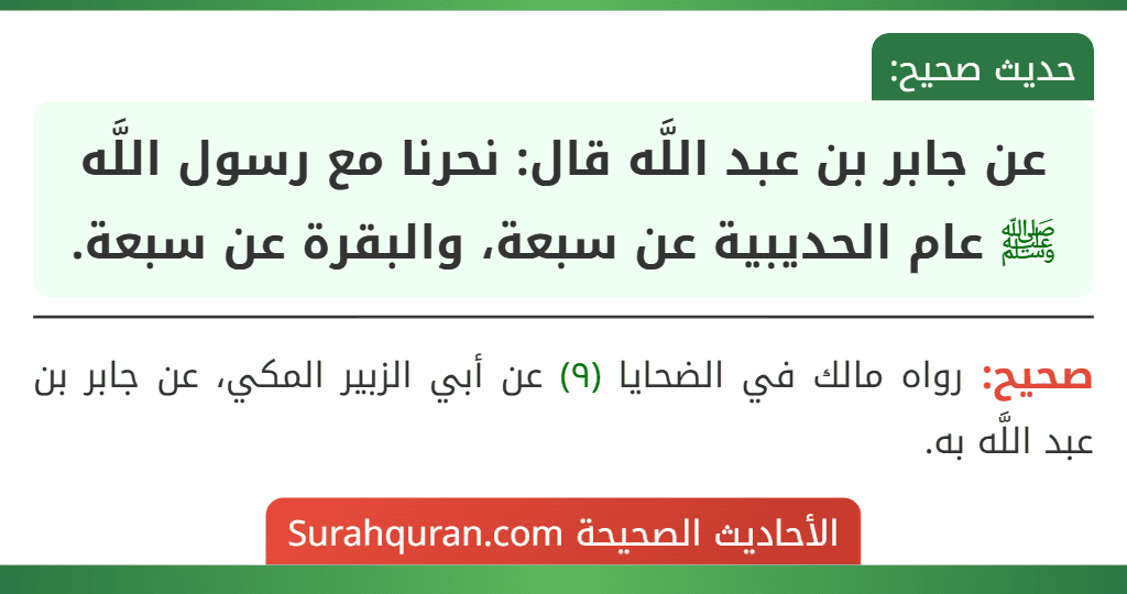 عن جابر بن عبد اللَّه قال: نحرنا مع رسول اللَّه ﷺ عام الحديبية عن سبعة، والبقرة عن سبعة.
