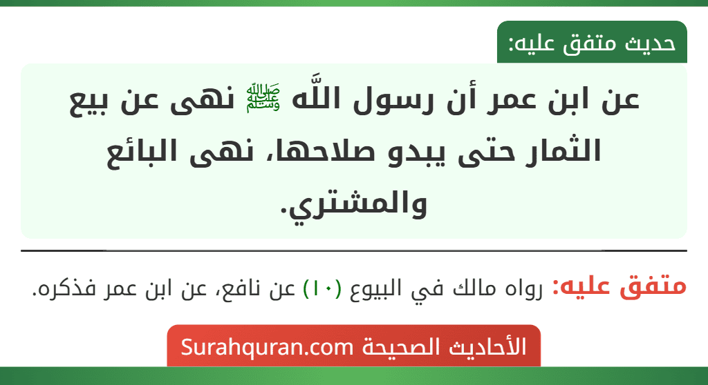 عن ابن عمر أن رسول اللَّه ﷺ نهى عن بيع الثمار حتى يبدو صلاحها، نهى البائع والمشتري.