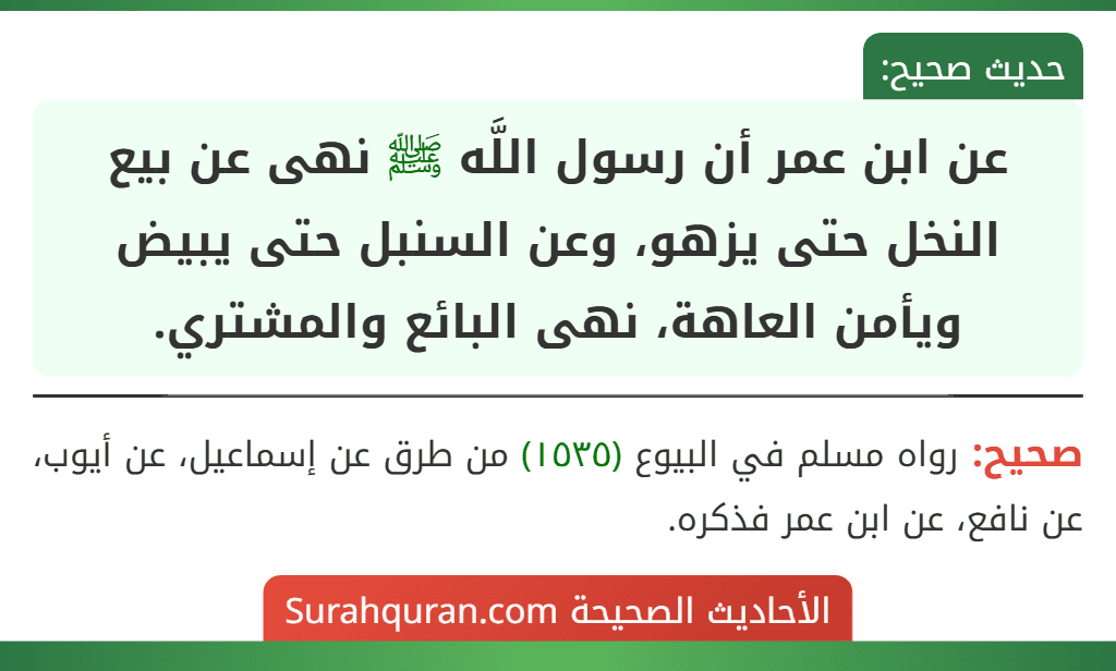 عن ابن عمر أن رسول اللَّه ﷺ نهى عن بيع النخل حتى يزهو، وعن السنبل حتى يبيض ويأمن العاهة، نهى البائع والمشتري.