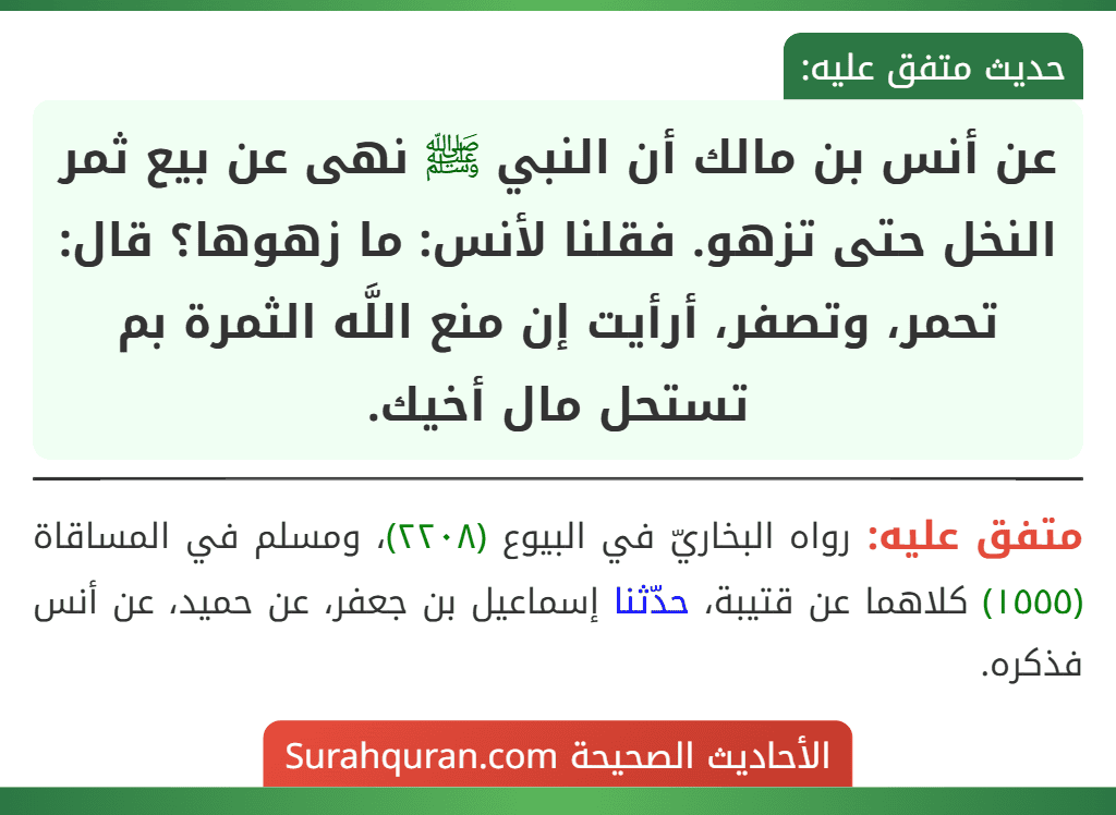 عن أنس بن مالك أن النبي ﷺ نهى عن بيع ثمر النخل حتى تزهو. فقلنا لأنس: ما زهوها؟ قال: تحمر، وتصفر، أرأيت إن منع اللَّه الثمرة بم تستحل مال أخيك.