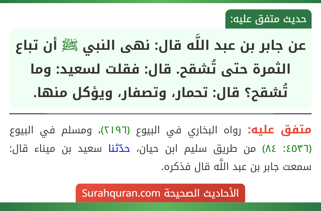 عن جابر بن عبد اللَّه قال: نهى النبي ﷺ أن تباع الثمرة حتى تُشقح. قال: فقلت لسعيد: وما تُشقح؟ قال: تحمار، وتصفار، ويؤكل منها.