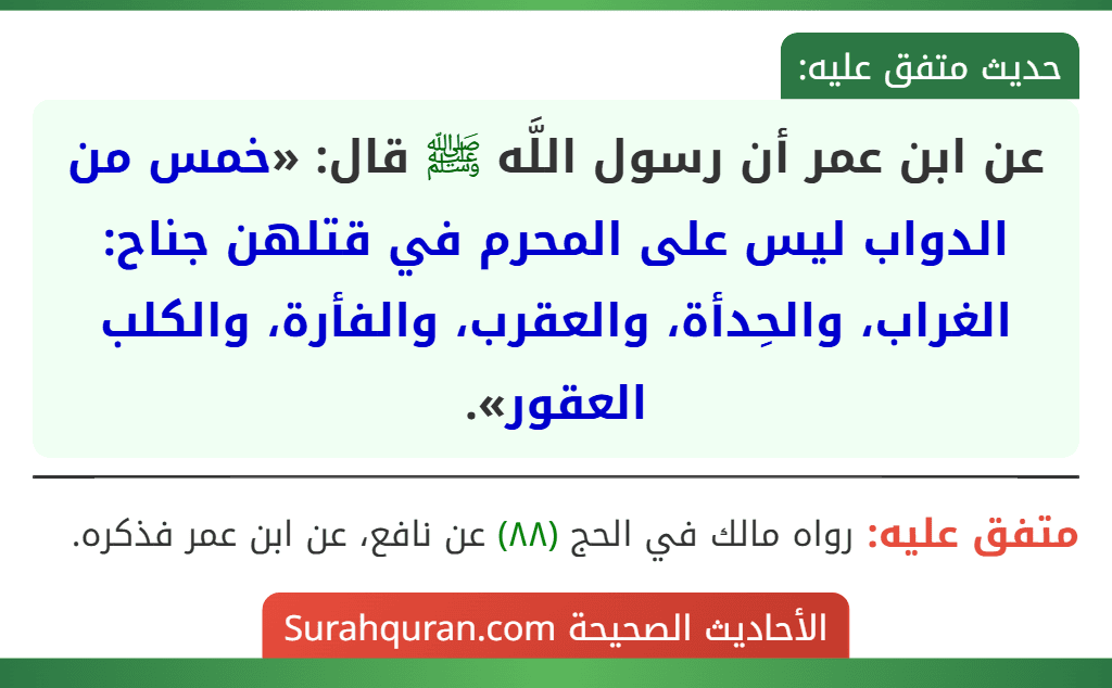 عن ابن عمر أن رسول اللَّه ﷺ قال: «خمس من الدواب ليس على المحرم في قتلهن جناح: الغراب، والحِدأة، والعقرب، والفأرة، والكلب العقور».