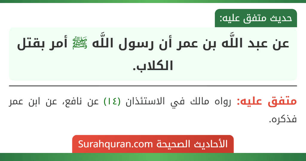 عن عبد اللَّه بن عمر أن رسول اللَّه ﷺ أمر بقتل الكلاب.