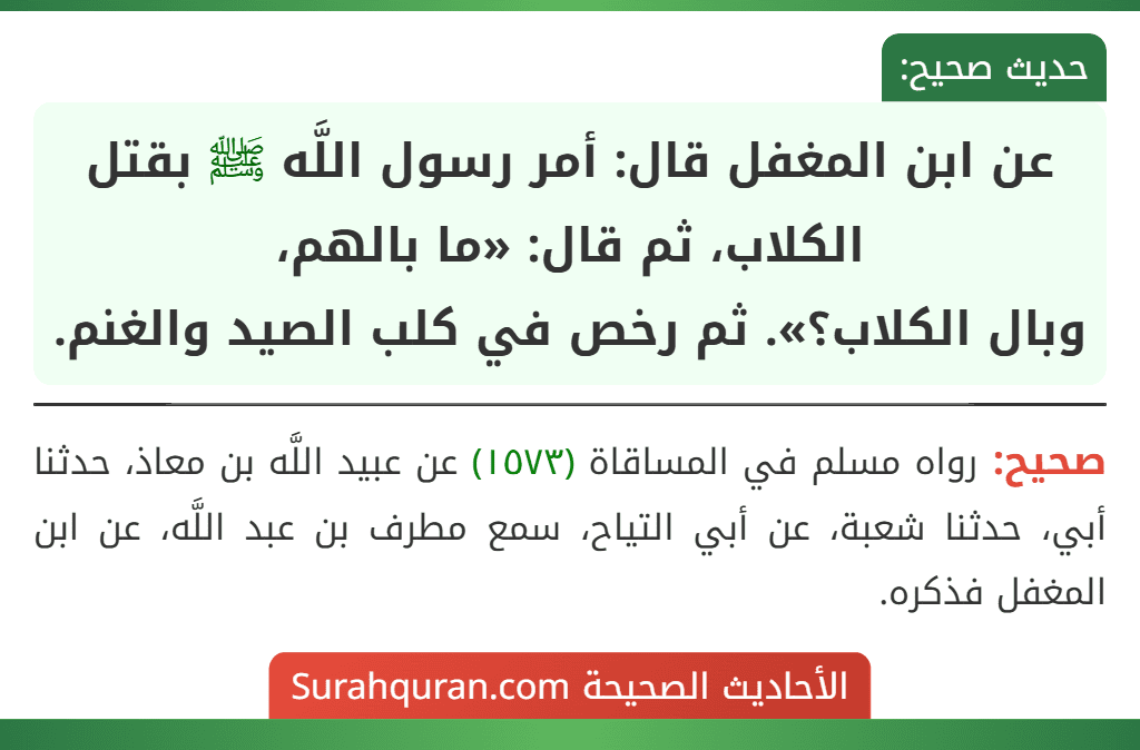 عن ابن المغفل قال: أمر رسول اللَّه ﷺ بقتل الكلاب، ثم قال: «ما بالهم،
وبال الكلاب؟». ثم رخص في كلب الصيد والغنم.