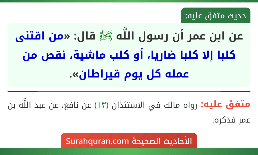 عن ابن عمر أن رسول اللَّه ﷺ قال: «من اقتنى كلبا إلا كلبا ضاريا، أو كلب ماشية، نقص من عمله كل يوم قيراطان».