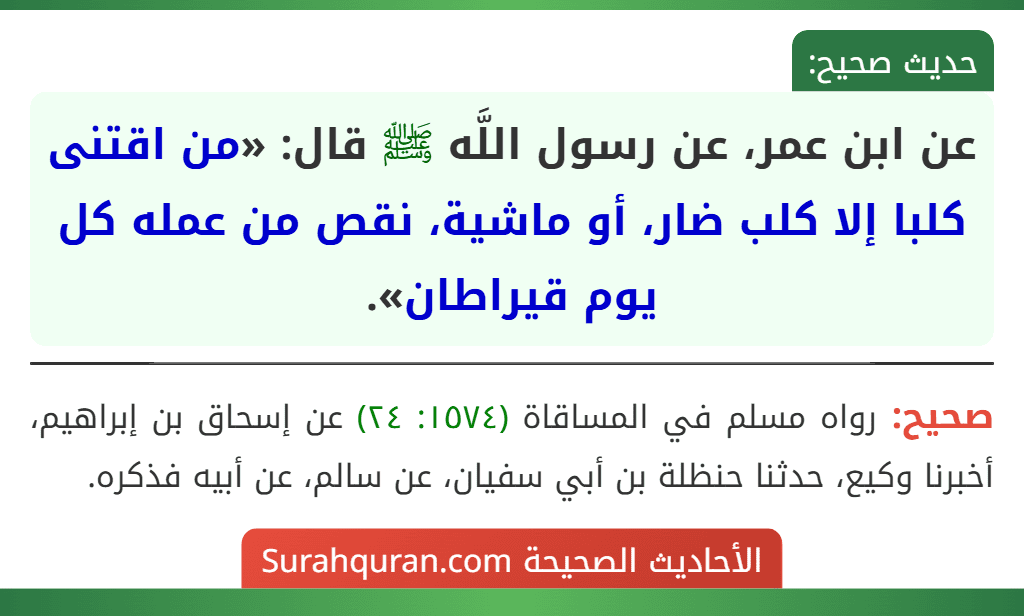 عن ابن عمر، عن رسول اللَّه ﷺ قال: «من اقتنى كلبا إلا كلب ضار، أو ماشية، نقص من عمله كل يوم قيراطان».
