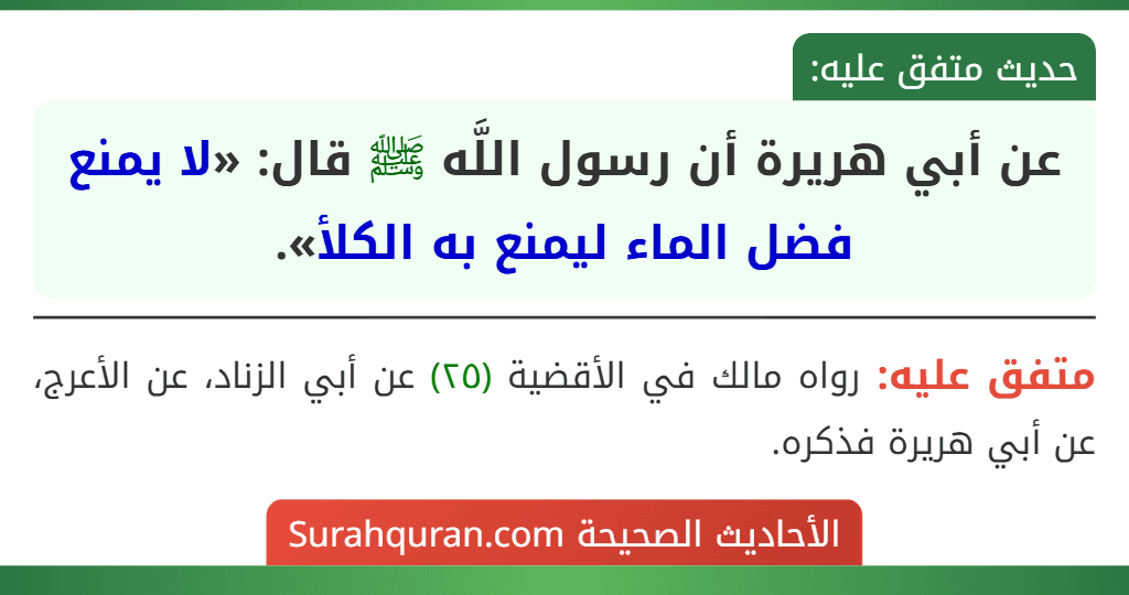 عن أبي هريرة أن رسول اللَّه ﷺ قال: «لا يمنع فضل الماء ليمنع به الكلأ». عن أبي هريرة أن رسول اللَّه ﷺ قال: «لا يمنع فضل الماء ليمنع به الكلأ».